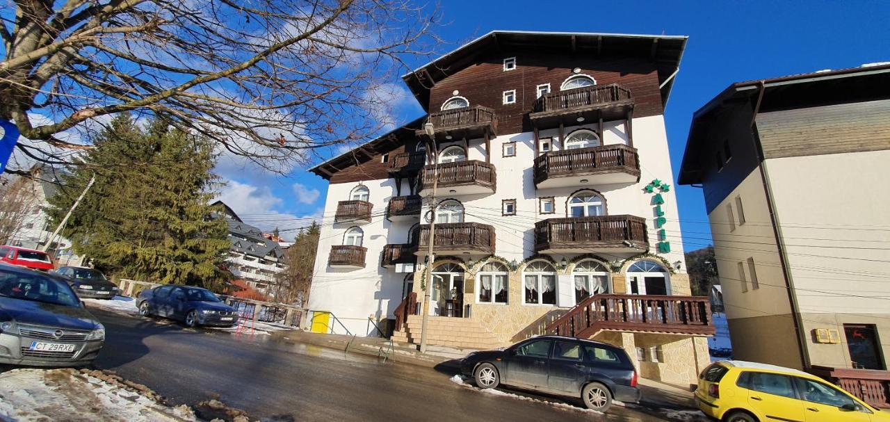 Pensiunea Alpin بْريدال المظهر الخارجي الصورة