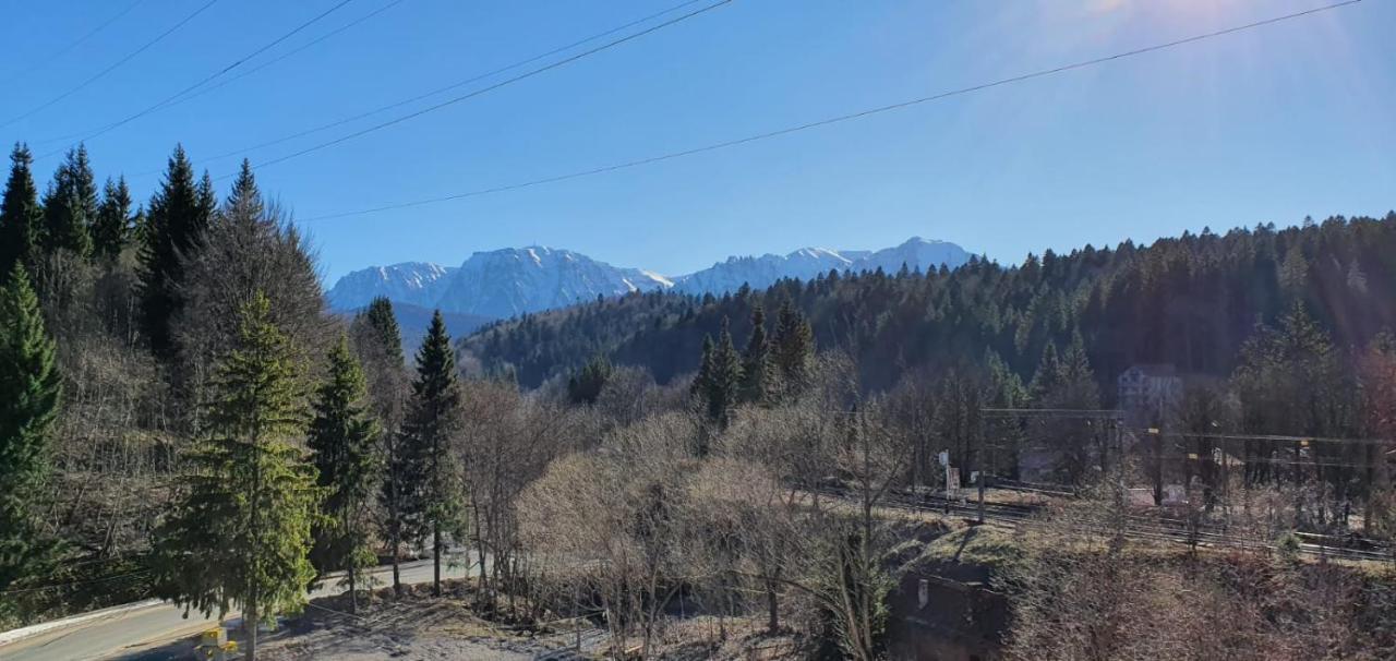 Pensiunea Alpin بْريدال المظهر الخارجي الصورة